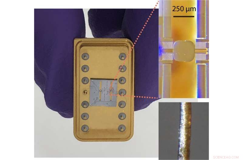 Innovative Optics-on-a-Chip Device Enables Real-Time Capture of Rapid Chemical, Material, and Biological Processes
