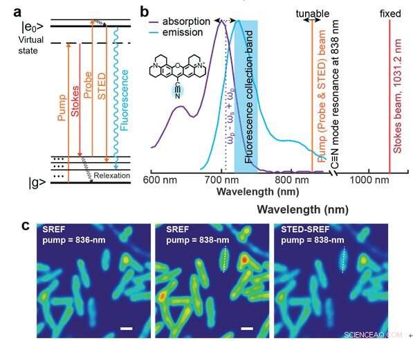 Super-Resolution Vibrational Microscopy with STED-SREF