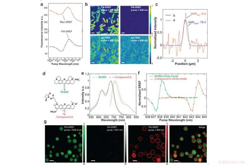 Super-Resolution Vibrational Microscopy with STED-SREF