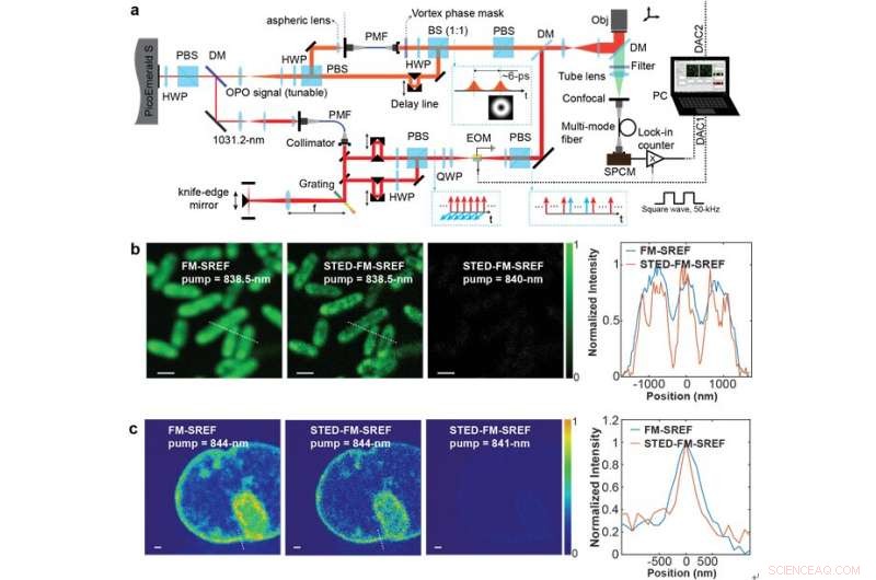 Super-Resolution Vibrational Microscopy with STED-SREF
