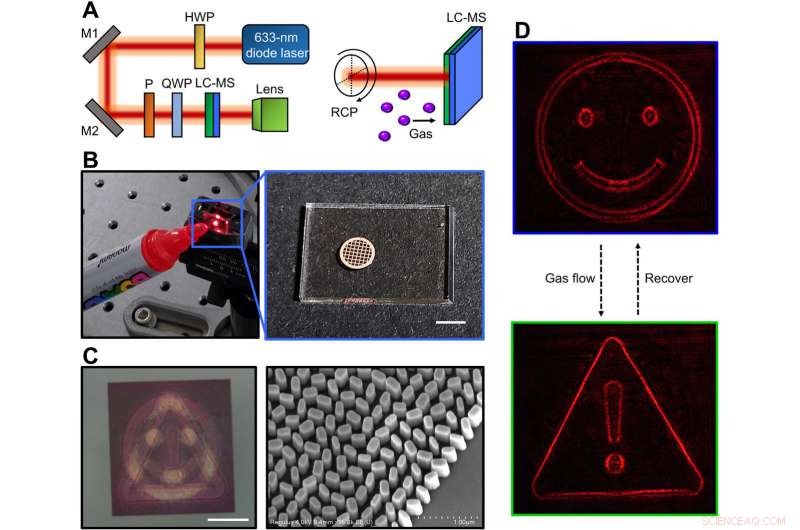 Holographic Metasurface Gas Sensors Deliver Real‑Time Visual Alerts