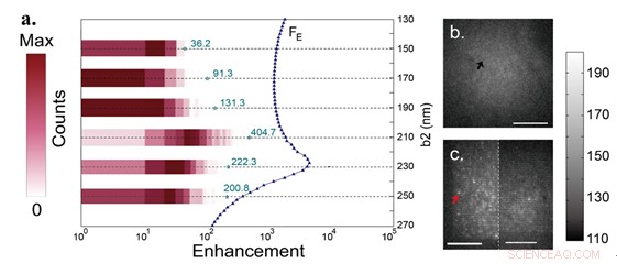 Optimizing Single‑Molecule Fluorescence with Asymmetric Nano‑Antennas