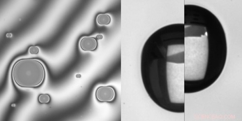 Rapid Control of Anisotropic Wetting via Substrate Stretching