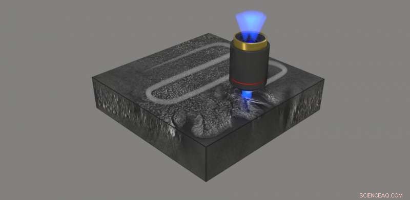 Holographic Histopathology: Rapid, Precise Diagnostics for Pathological Tissue