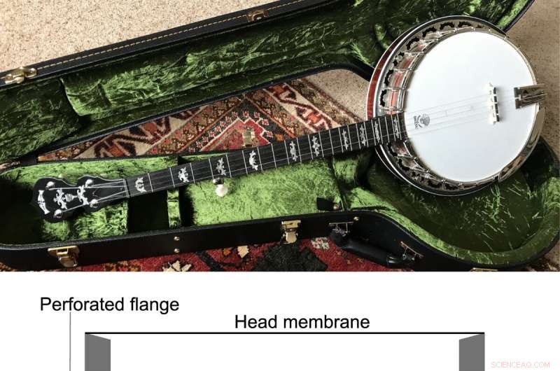 Unveiling the Sound: Precise Measurement & Synthesis of 5‑String Banjo Acoustics