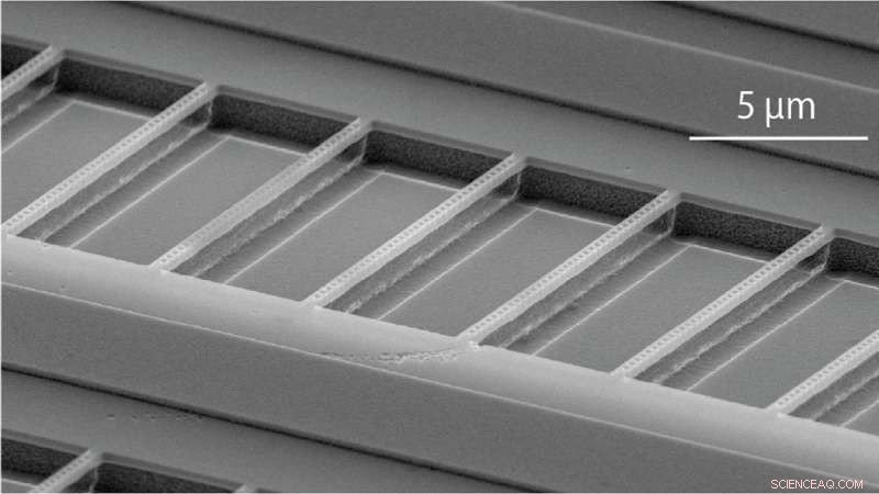 Charting a Robust Quantum Future: A Comprehensive Blueprint