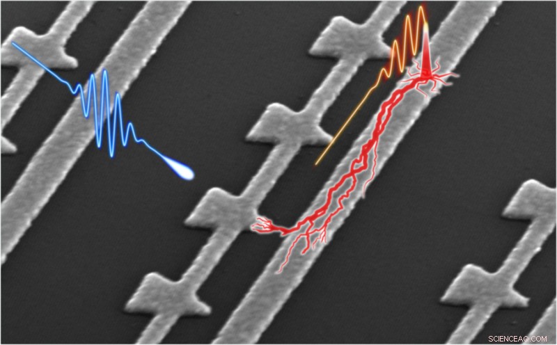Researchers Unveil Compact On‑Chip Device for Attosecond‑Resolution Electric‑Field Waveform Detection