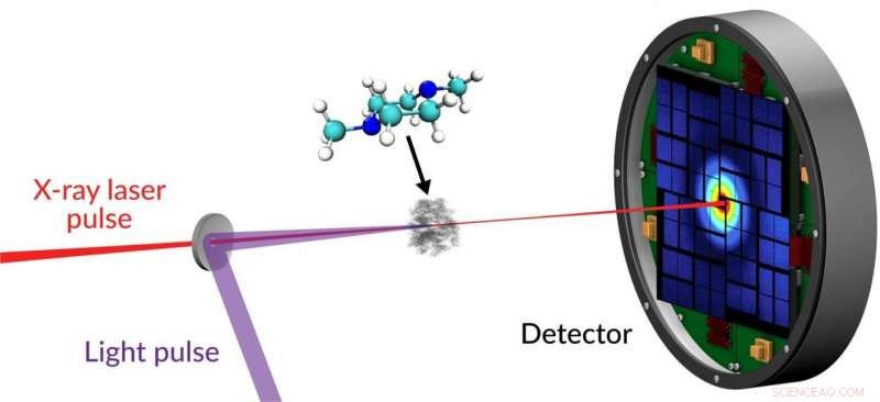How Charge Transfer Distorts DMP Molecules: First Detailed Insight