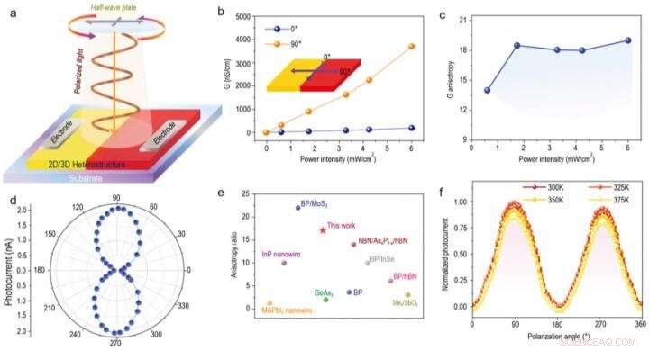 High-Performance Polarization-Sensitive Photodetector Based on 2D/3D Perovskite Heterostructure Crystals