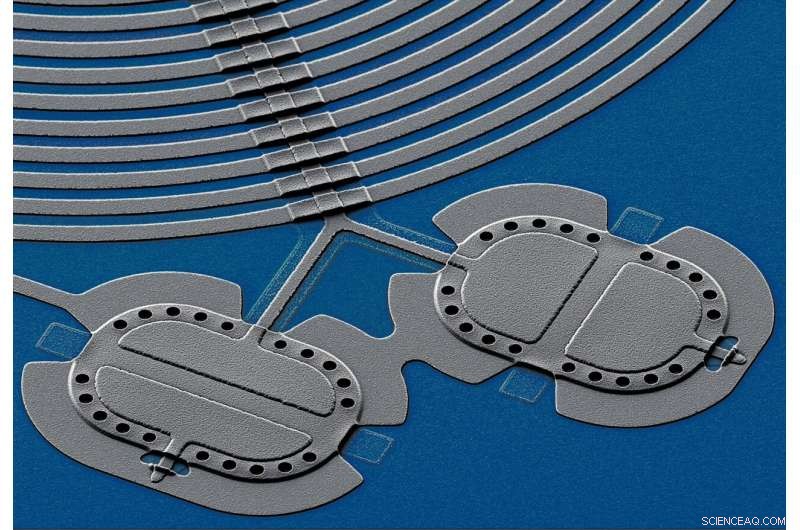 Researchers Direct and Measure Quantum Entanglement in Mechanical Drum Duet