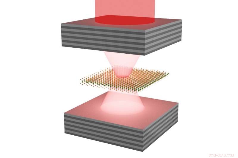 Pioneering Ultra-Compact Lasers with Monolayer Crystals