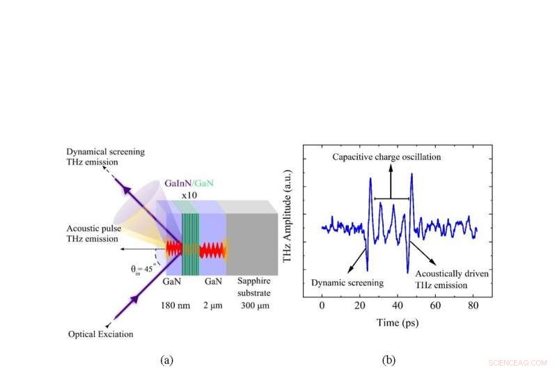 GaInN/GaN Quantum Wells: THz Emission Spectroscopy Reveals Their Optical Dynamics