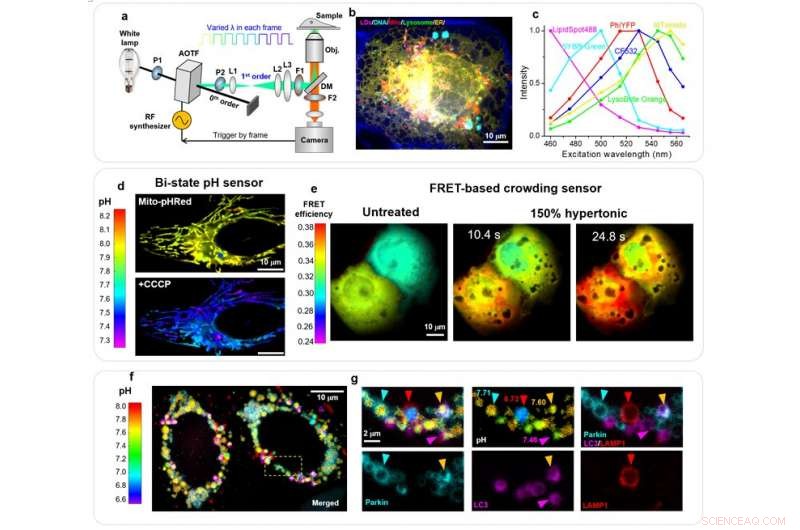 Advanced Spectral Microscopy for Multi-Target Imaging and Quantitative Biosensing