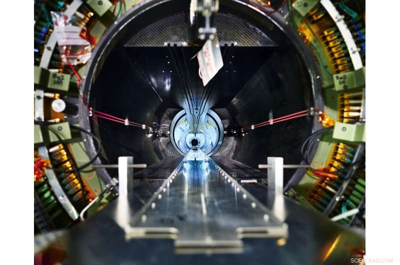 Why Precise Luminosity Measurements are Crucial for LHC Research
