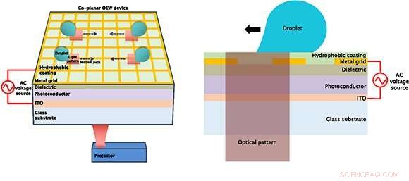 Unlocking New Horizons with an Open-Top Optofluidic Device