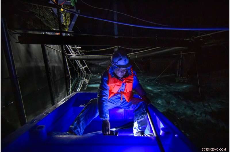 Groundbreaking Detector Uncovers Gamma Rays from Unexpected Cosmic Sources