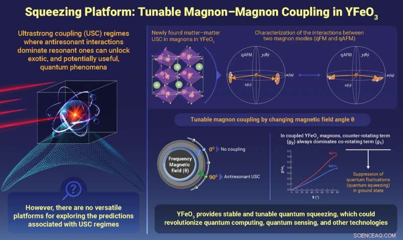 Rice Physicists Discover Tunable Ultrastrong Spin Interactions for Quantum Simulation and Sensing
