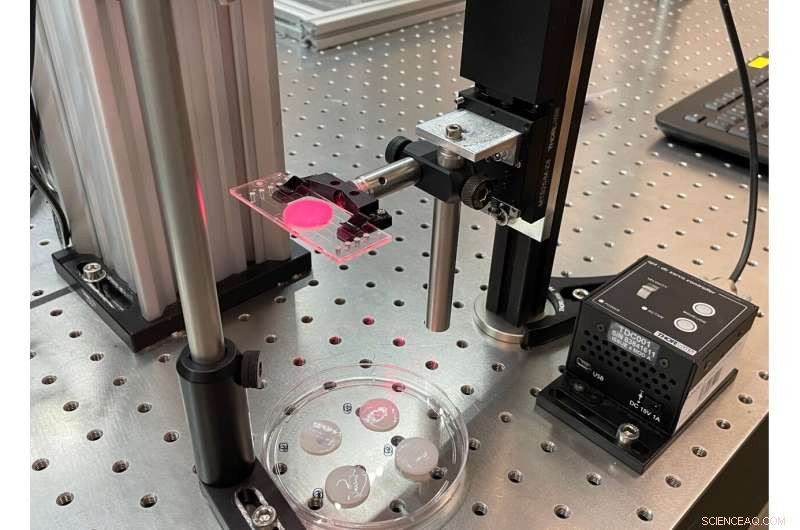 Revolutionary Microscopy Technique Delivers Deeper Insight into the Living Brain