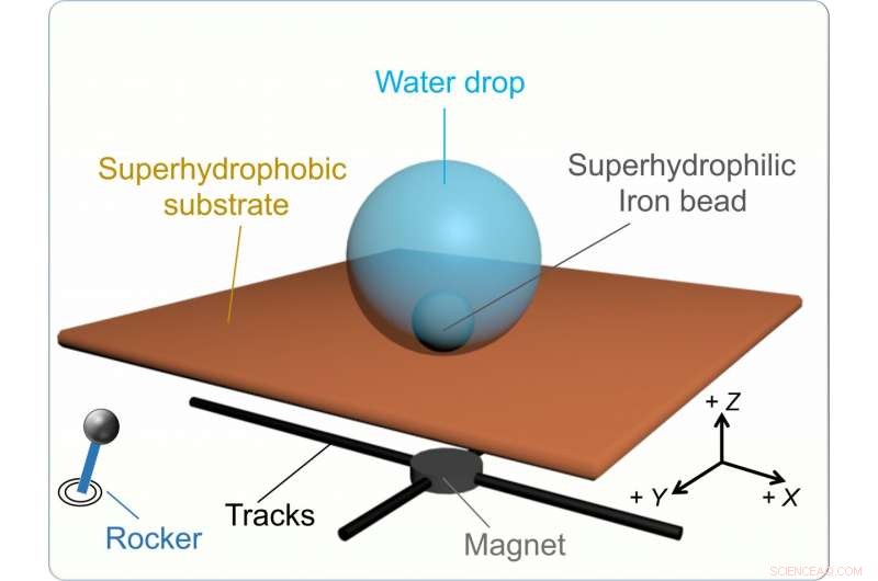 Magnetic Beads Transform Water Droplets into Self‑Propelled Hydrobots