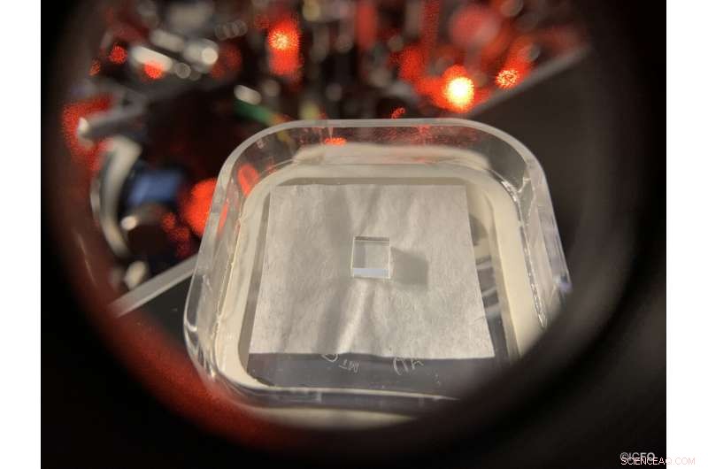 Entangled Quantum Memories Propel Quantum Repeaters Toward a Functional Quantum Internet