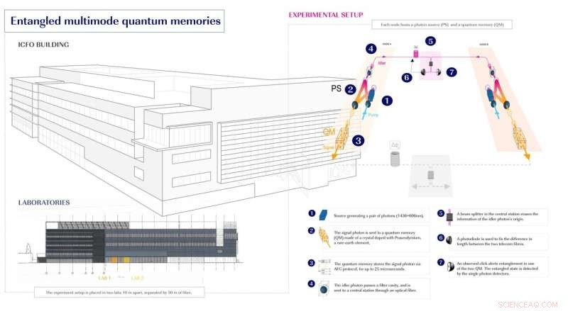 Entangled Quantum Memories Propel Quantum Repeaters Toward a Functional Quantum Internet