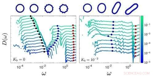 Understanding Particle Dynamics: A Comprehensive Overview