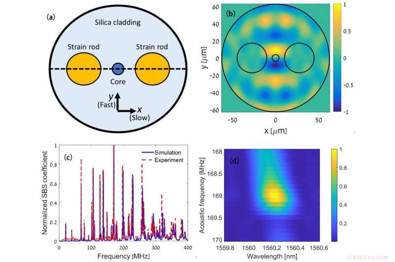 Achieving Opto‑Mechanical Non‑Reciprocity in Fiber Optics