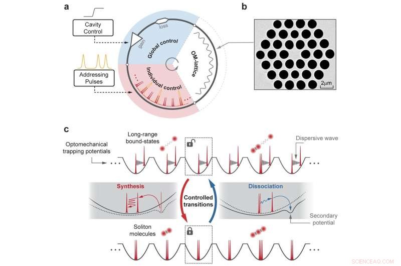 Unveiling Collective Matter‑Light Analogies of Soliton Molecules with PCF‑Based Parallel Reactors