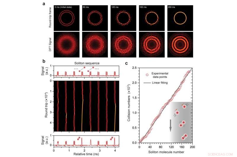 Unveiling Collective Matter‑Light Analogies of Soliton Molecules with PCF‑Based Parallel Reactors