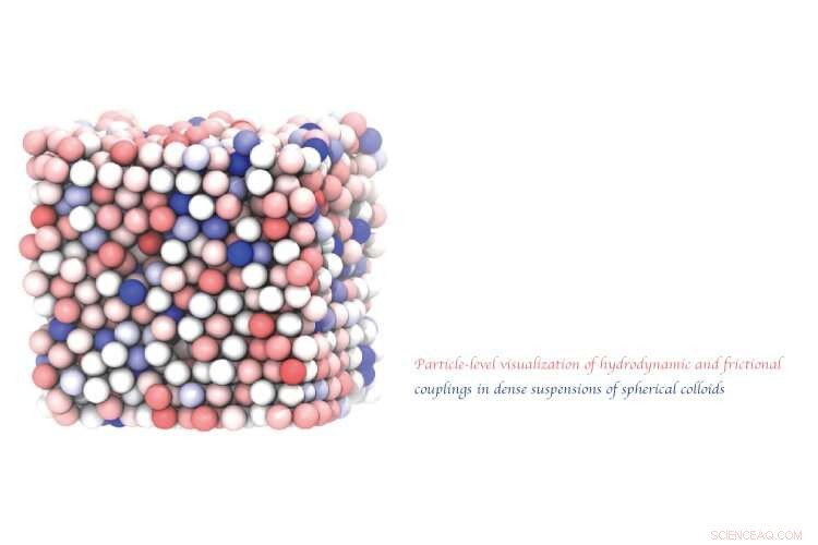 Innovative  Eyed  Particles Enable Detailed Analysis of Rotational Dynamics in Colloids
