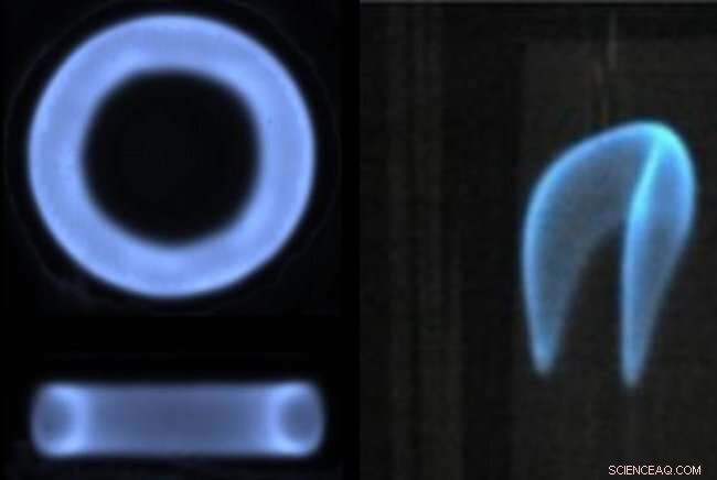 Exploring Flame Balls: From Doughnut to Horseshoe Shapes