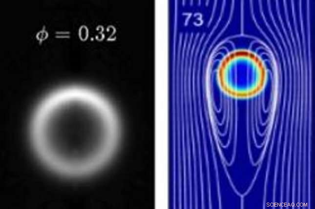Exploring Flame Balls: From Doughnut to Horseshoe Shapes