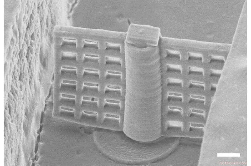 Scientists 3D‑Print Miniaturized Rotating Microfilters for Advanced Lab‑on‑a‑Chip Systems