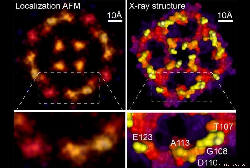 Breakthrough Super‑Resolution Microscopy Nears Atomic Scale