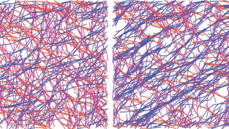 Researchers Discover Protein Traits That Enable Strengthening Under Pressure