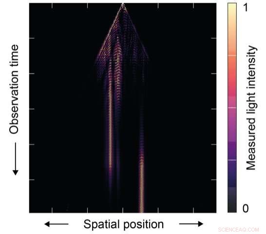 Stop‑Motion Photons: Unveiling Light Localization in Disordered Media