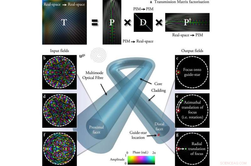Revolutionary Needle‑Tip Imaging with Multimode Fiber Technology