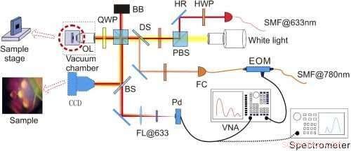 Graphene Drum Phonon Laser: A Breakthrough in Acoustic Engineering