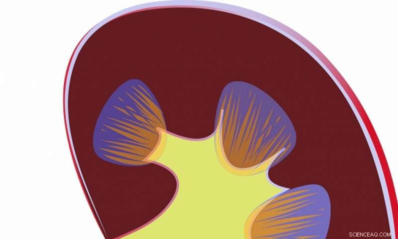 Harnessing Sound Therapy to Improve Health and Reduce Pain