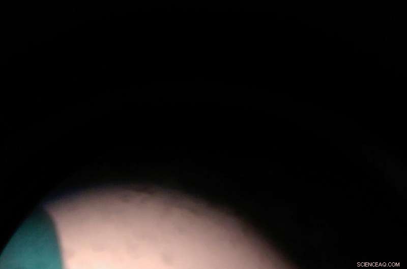 Unveiling the Hidden Secrets of Exotic Superconductors