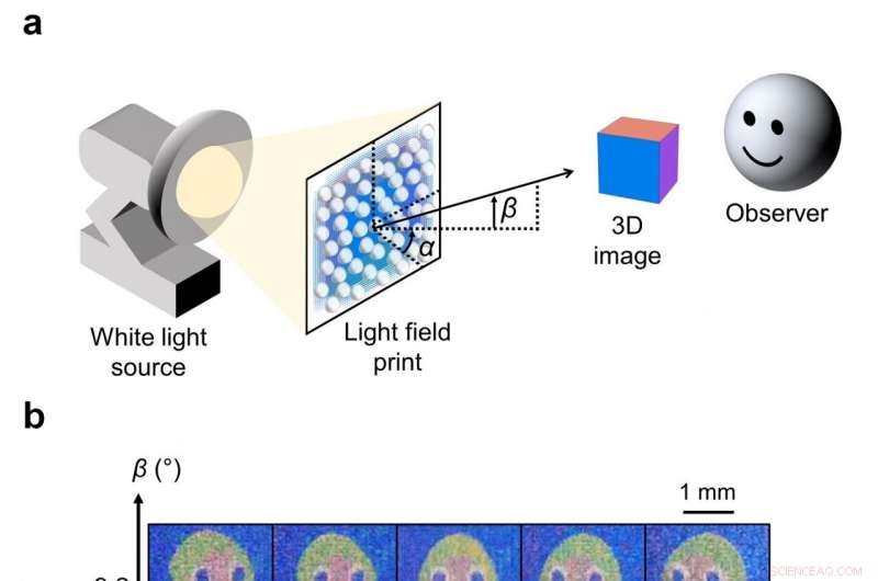 Creating High-Resolution Light Field Prints with Nanoscale 3D Printing