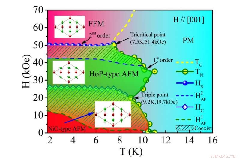 Scientists Unveil Magnetic Structures of Diverse Topological Semimetals