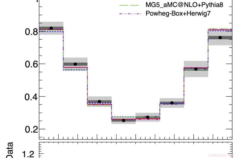 ATLAS Collaboration Confirms Top Quark Polarization with Precision
