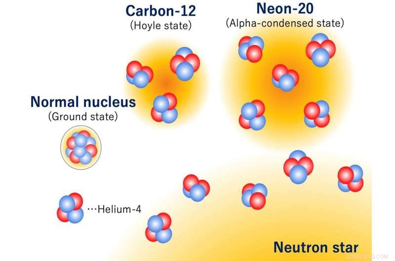 Discovering Excited Neon: How a New Fourth Quartet Could Unlock Stellar Secrets