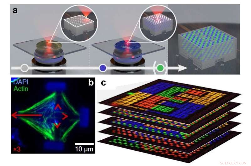 Advanced Multi-Material Multi-Photon 3D Laser Micro- and Nano-Printing Techniques