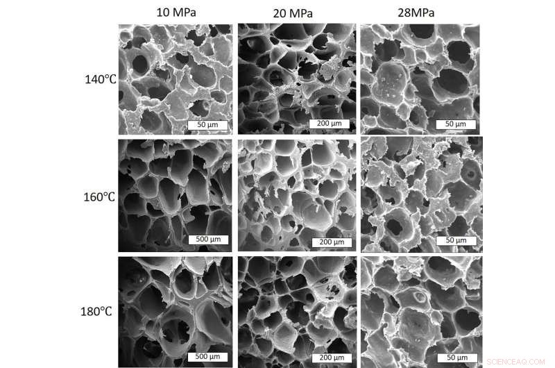 Transforming Plastic into Eco-Friendly Foam to Tackle Pollution