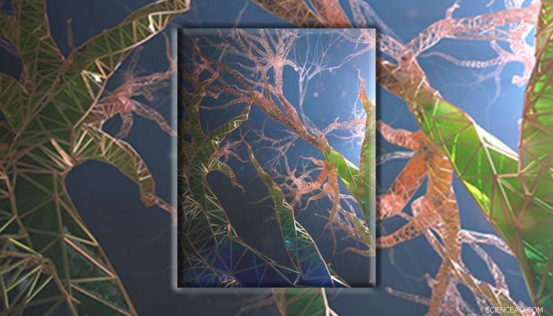 Nature-Inspired Breakthrough in Cellular Fluidics Promises Wide-Ranging Impact