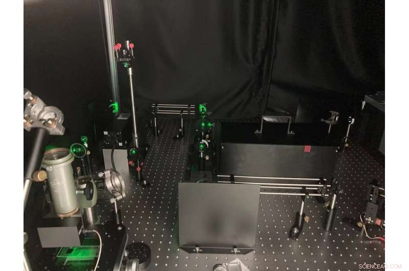 Advanced Algorithms Deliver Realistic Color to Digital Images