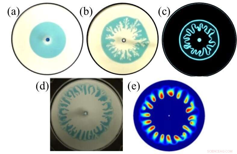 Unveiling Novel Patterns in Fluid Flow Dynamics