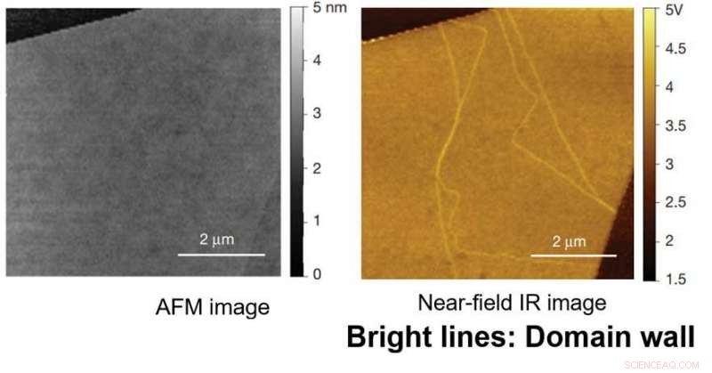 Scanning Near‑Field Optical Microscopy Reveals Nanoscale Material Properties